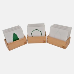 [:it]Schede foglie in 3 schedari[:en]Leaf shape cards and box[:]